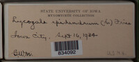 Image Associated With the Occurence